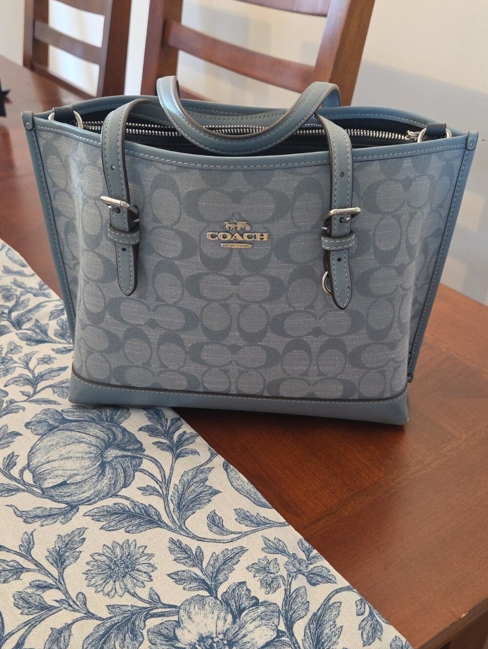 Coach Mollie Light Blue Signature Bag